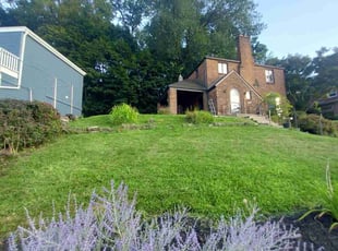 Geimy R.'s lawn maintenance service result