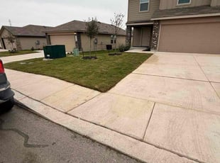 Salome D.'s grass maintenance service result