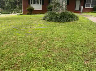 Joel W.'s lawn care services service result