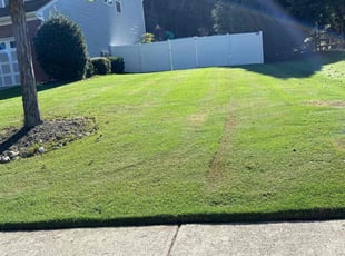 Gabriel G.'s grass cutting service result