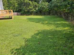 Jackie T.'s lawn care services service result