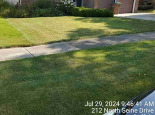 Amanda U.'s lawn service service result