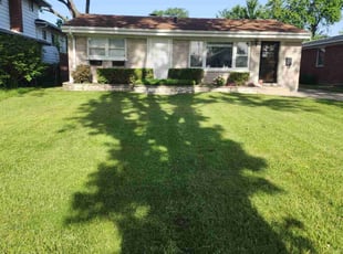 Desiree V.'s Bush Trimming service result