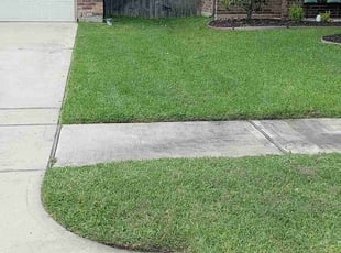 Scotti H.'s lawn care services service result
