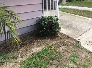 Debra E.'s Bush Trimming service result