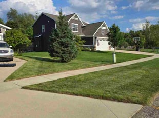 Jose A.'s grass cutting service result