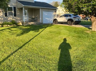 Tom B.'s lawn care services service result
