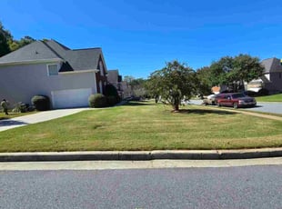 James C.'s lawn care service result