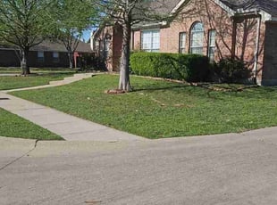 Donderayia S.'s grass cutting service result