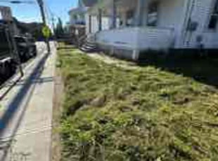 Frances H.'s grass cutting service result