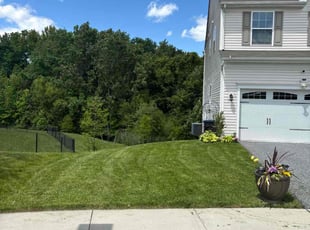 Paul N.'s grass maintenance service result