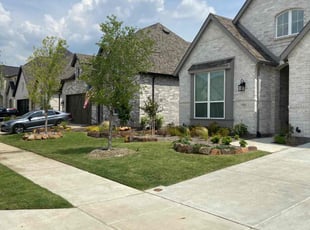 Anne H.'s lawn care service result