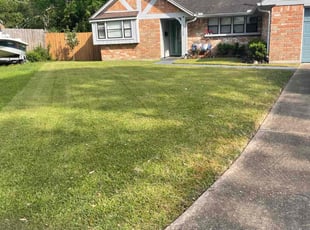 Carrie E.'s turf maintenance service result