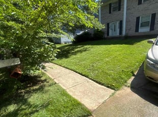 Julie B.'s lawn maintenance service result