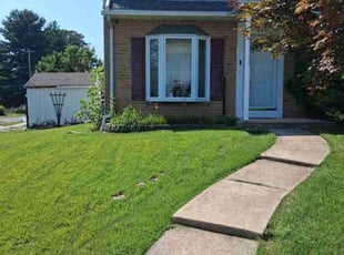 Lisa D.'s grass maintenance service result