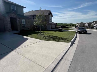 Natasha S.'s lawn care service result