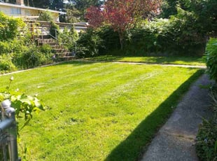 Debbie T.'s turf maintenance service result