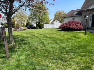 Jen S.'s lawn care services service result