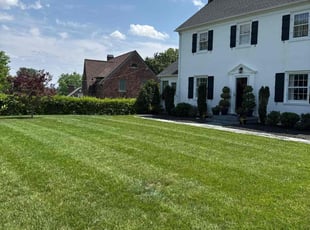 Marcial B.'s lawn care service result