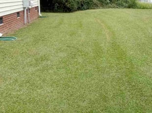 Shawn B.'s Haulaway service result