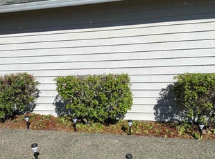 Margaret C.'s Bush Trimming service result