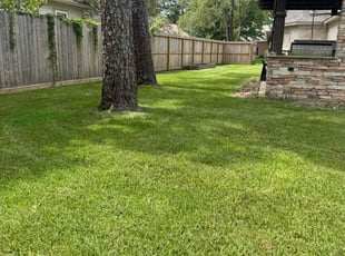 Michelle H.'s lawn care services service result