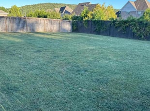 Melody W.'s grass cutting service result