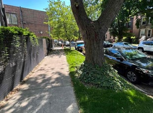 Jack A.'s lawn care services service result