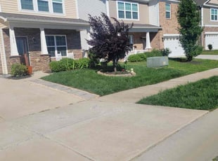 Joseph G.'s lawn care services service result