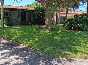Tracy B.'s lawn care service result