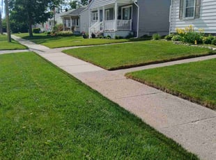 Malika D.'s grass cutting service result