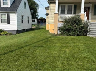 Robert T.'s lawn maintenance service result