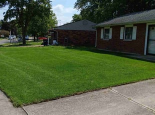 Todd L.'s lawn service service result