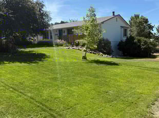Derla M.'s turf maintenance service result