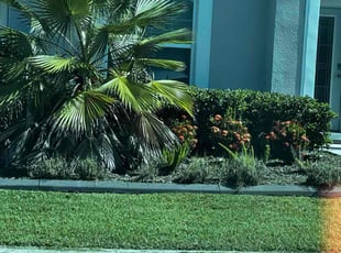 Pamela B.'s Flower Bed Weeding service result
