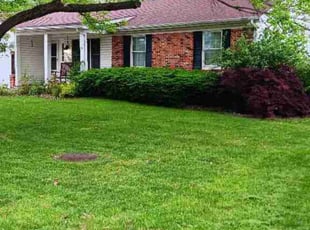 Dorothy R.'s turf maintenance service result