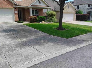 Jason D.'s lawn care service result