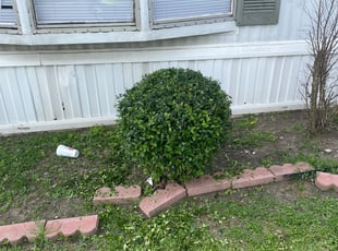 David E.'s Bush Trimming service result