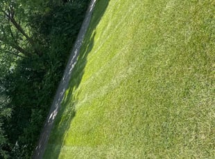 Michelle M.'s turf care service result