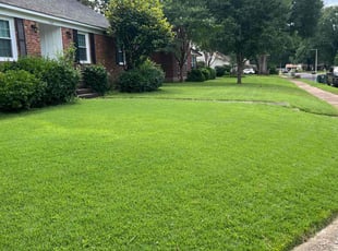 Traci S.'s lawn maintenance service result