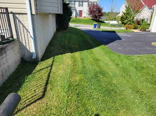 Ayedah A.'s turf care service result