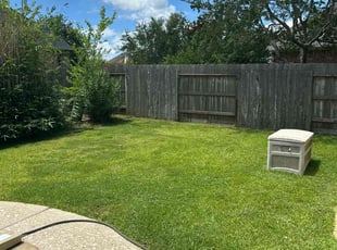 Abe H.'s lawn care service result