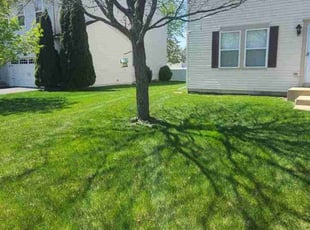 Victor C.'s lawn care service result