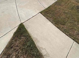 Colleen D.'s lawn maintenance service result