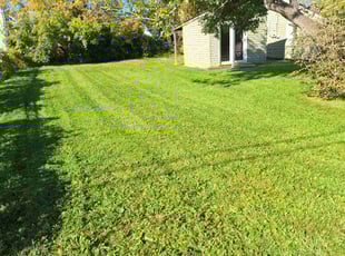 Dashimue H.'s grass maintenance service result