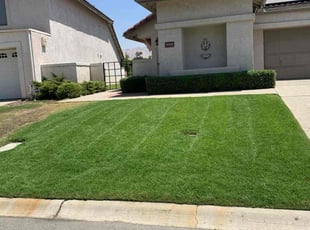 Tina H.'s gardening service service result