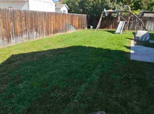Carolyn P.'s lawn maintenance service result