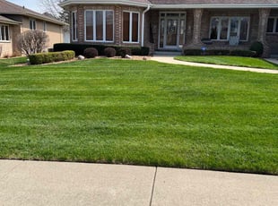 Mahmoud A.'s lawn maintenance service result