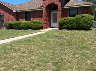 Eva B.'s Bush Trimming service result