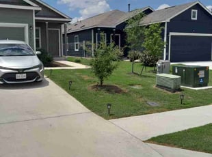 Dd S.'s turf maintenance service result